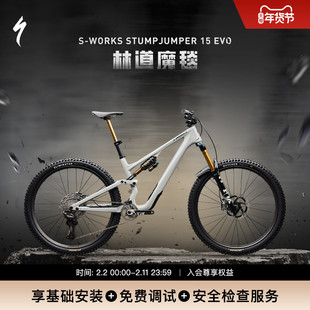SPECIALIZED闪电 S-WORKS STUMPJUMPER 15 DI2 碳纤维避震山地车