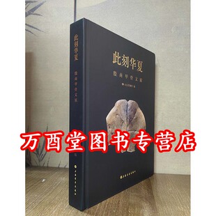 此刻华夏:殷商甲骨文展