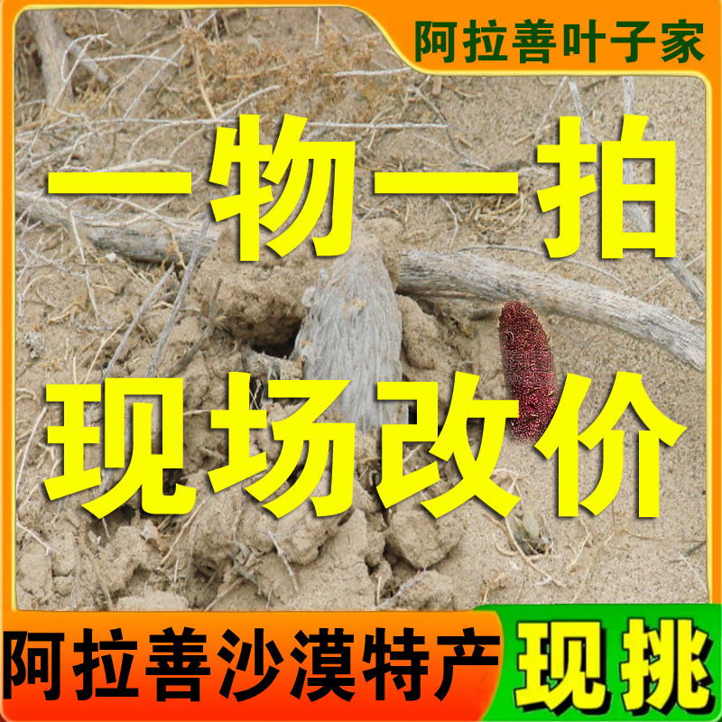 直播专拍链接,传统滋补营养品,肉苁蓉,淘宝优惠券,粉丝福利购,淘宝优惠卷