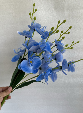 仿真兰花蝴蝶兰假花手感绢花家居餐桌花艺软装样板房酒店拍照道具