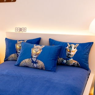 儿童男童幼儿园枕套牛奶绒30×50男孩冬季加厚珊瑚绒枕头套48×74