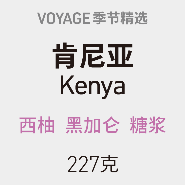 VOYAGECOFFEE肯尼亚咖啡豆冷萃