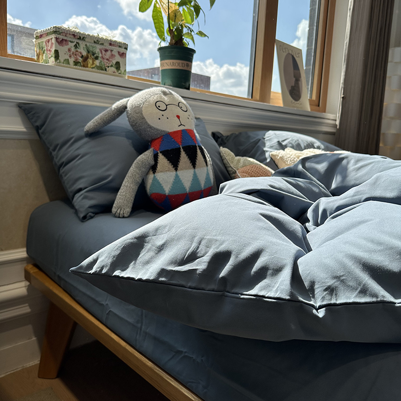 100s高支超柔磨毛蓝色四件套全棉