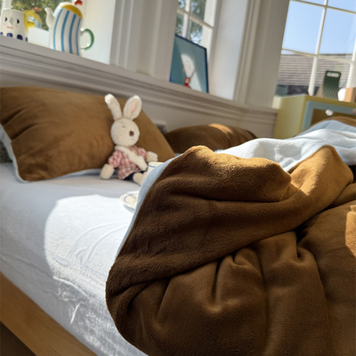 纯色双拼牛奶绒可可海盐四件套