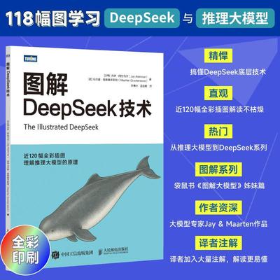 图解DeepSeek技术 deepseek教程DeepSeek项目原理开发大模型应用开发agent智能体RAG