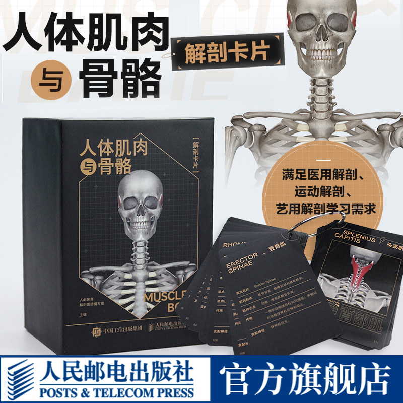 人体肌肉与骨骼解剖卡片 运动骨骼肌肉解剖学 运动解剖图谱,书籍/杂志/报纸,体育运动(新),淘宝优惠券,粉丝福利购,淘宝优惠卷