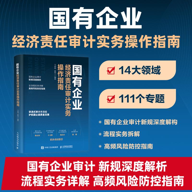 国有企业经济责任审计实务操作指南 审计人员技巧案例实务拆解详解实操案头指南工具书籍