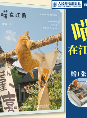 喵在江南徐岩猫咪写真随笔