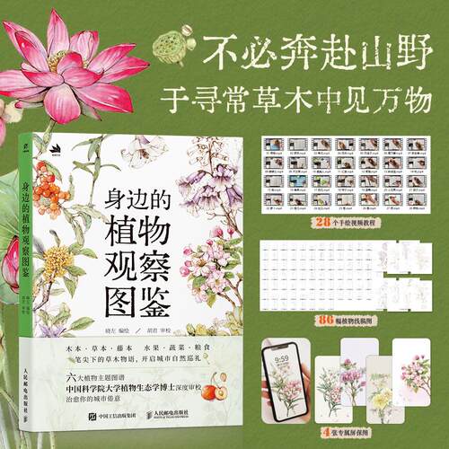 官方正版 出版社直发