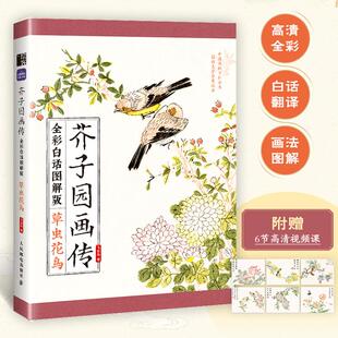 全彩白话图解版 芥子园画传 国画基础入门教程国画小白自学白描临摹画画描摹本 草虫花鸟