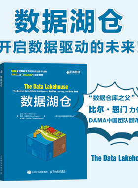 数据湖仓 大数据管理数据仓库数据湖湖仓一体建设数据湖架构数据网格计算机数据分析书籍
