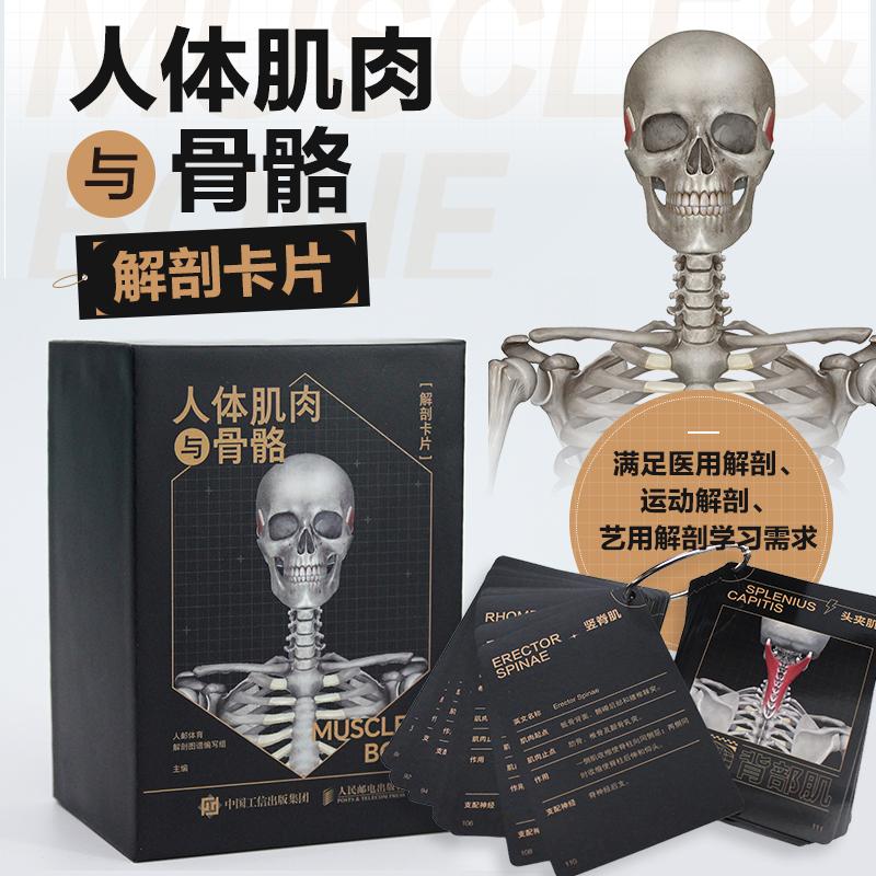 官方正版 出版社直发