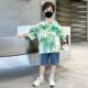 2025夏装 男孩痞帅洋气上衣男童潮 儿童夏季 中大童T恤短袖 2025新款
