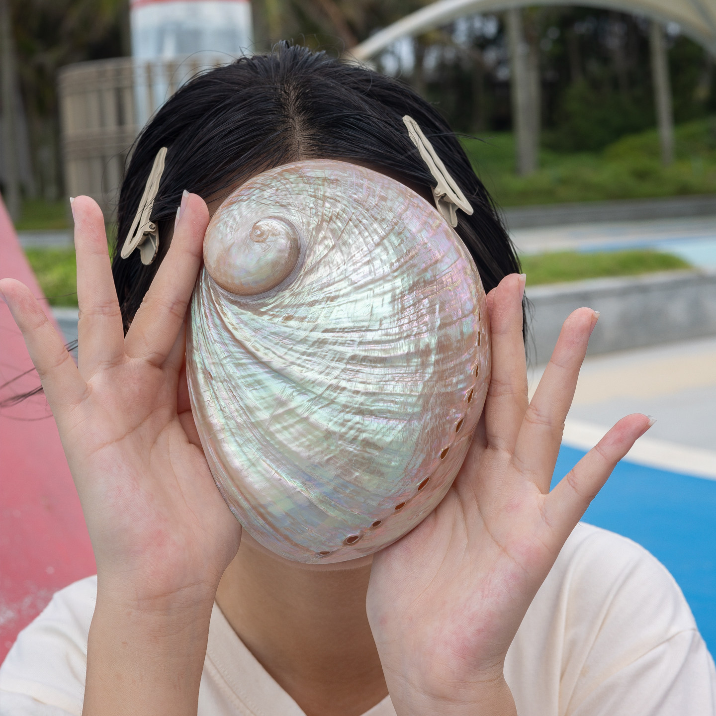 超大号澳洲鲍鱼壳饰品收纳