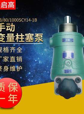 63SCY14-1B  80SCY14-1B   100SCY14-1B手动变量柱塞泵