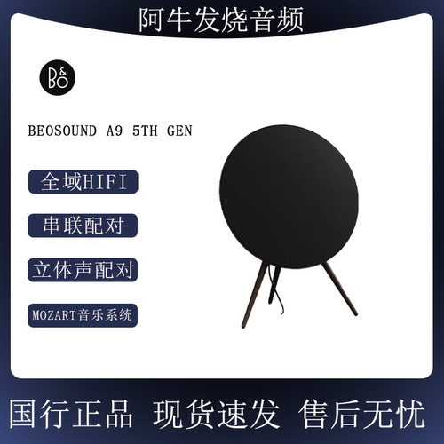 B&OBeosoundA95thGen音箱