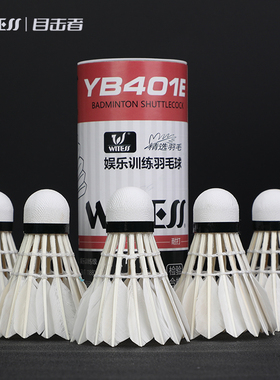 WITESS目击者YB401E羽毛球耐打型室内外训练用球3只装/6只装
