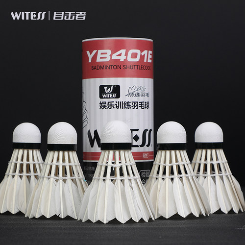 WITESS目击者YB401E羽毛球耐打型室内外训练用球3只装/6只装