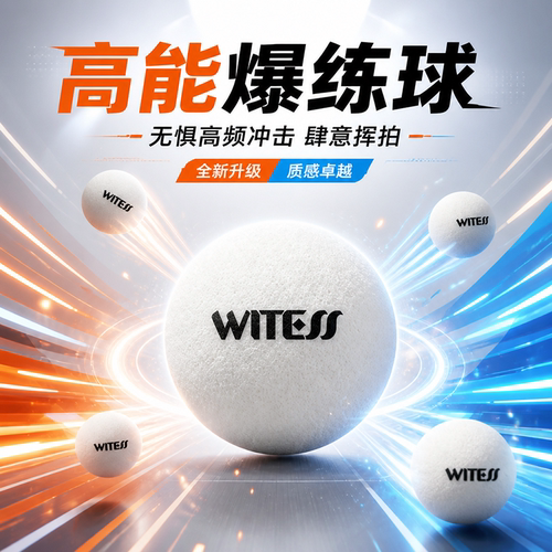 WITESS目击者正品耐用爆练球新手进阶训练神器抽墙羽毛球运动训练