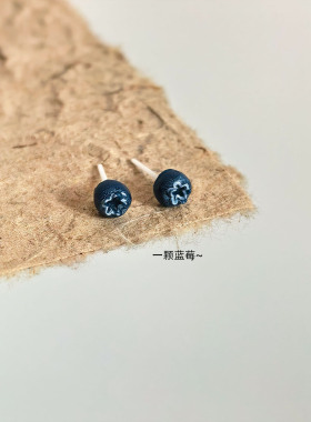 蓝莓生物瓷耳钉2026新款简约日常通勤小巧卡通水果耳环树脂耳饰女