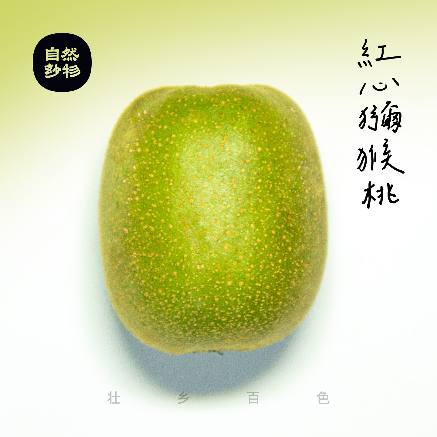 地标特产乐业红心猕猴桃 高山富硒 妙物优选礼盒装,水产肉类/新鲜蔬果/熟食,奇异果/猕猴桃,淘宝优惠券,粉丝福利购,淘宝优惠卷