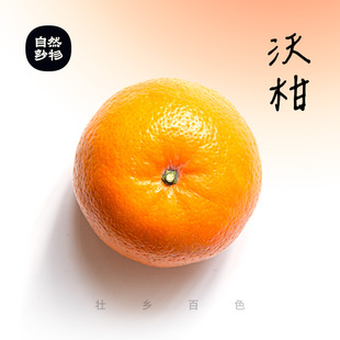 甄选沃柑 广西特产柑橘甜蜜礼盒 妙物优选中大果礼盒装