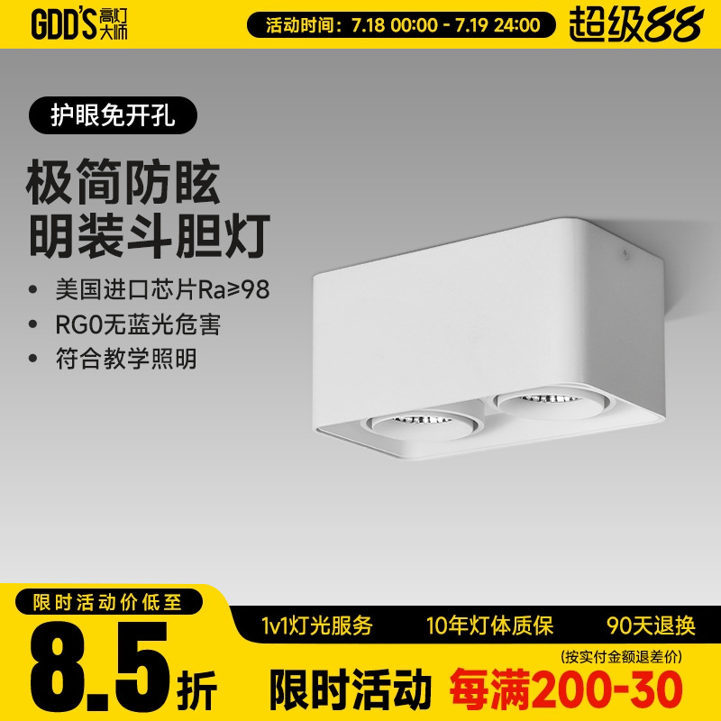 全铝明装双头白色led客厅斗胆灯