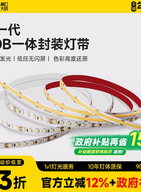 LED贴片灯带cob低压灯带24V伏店铺商用长条家装吊顶线形灯气氛饰