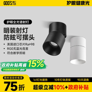 射灯led弯头灯可摆头调节个性 免吊顶原顶cob明装 简约现代吸顶智能