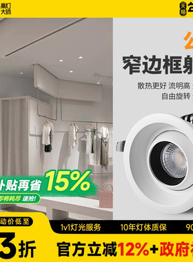 高显色嵌入式天花射灯COB牛眼灯商业服装店铺可摆头75孔30w