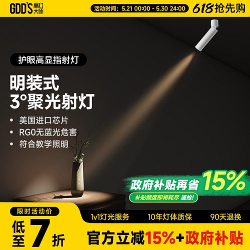 高灯大师客厅全铝材可摆头