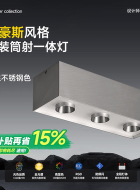 三头明装不锈钢斗胆灯包豪斯客厅筒灯射灯一体主灯银色超薄吸顶灯