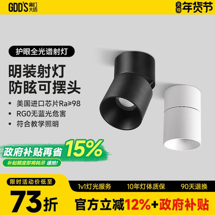 免吊顶原顶cob明装射灯led弯头灯可摆头调节个性简约现代吸顶智能