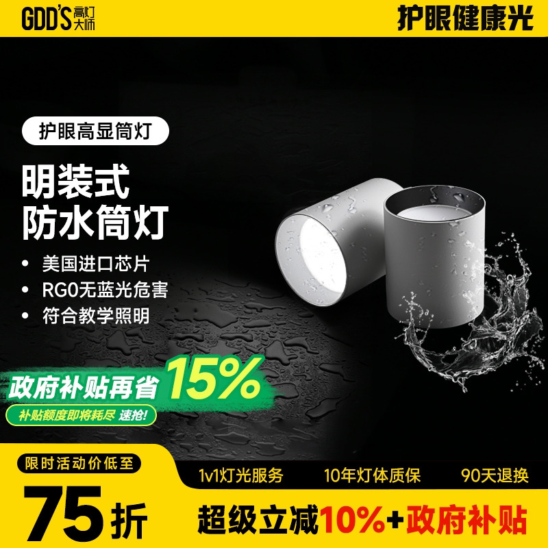 高灯大师防水筒灯全铝极简明装