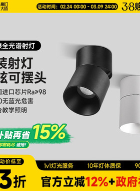 免吊顶原顶cob明装射灯led弯头灯可摆头调节个性简约现代吸顶智能