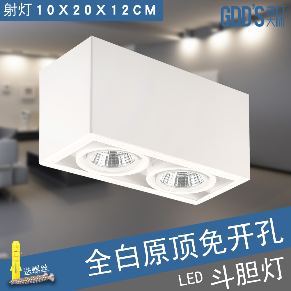 gdds雙頭白色斗膽燈明裝射燈雙眼筒燈吸頂燈北歐臥室燈盒子燈免開