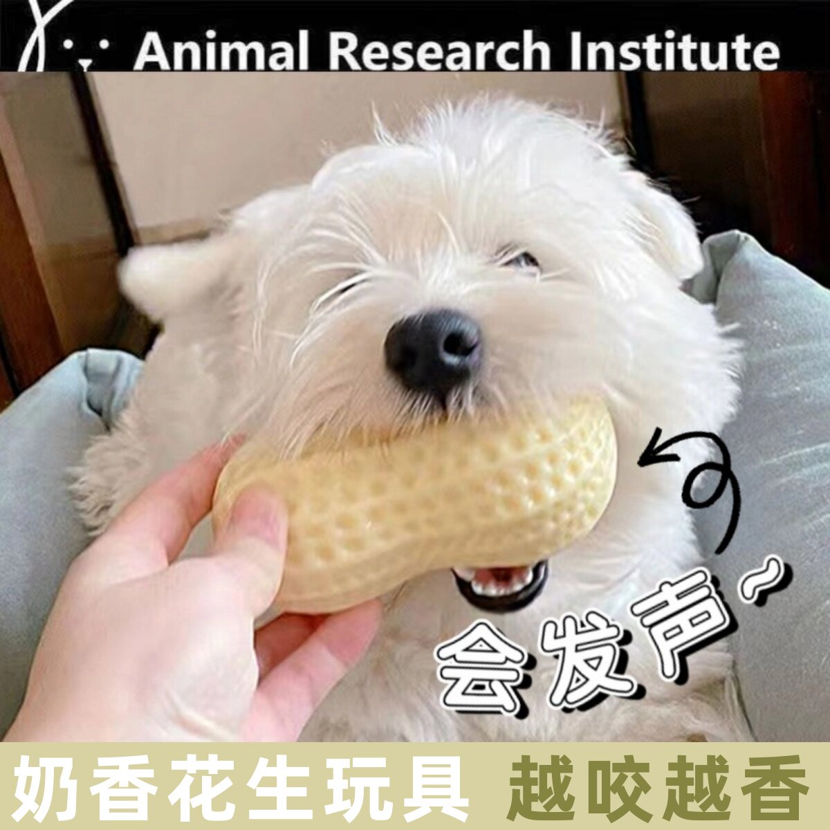 狗狗玩具花生耐咬发球解闷神器宠物大小型犬磨牙棒外贸宠物玩具