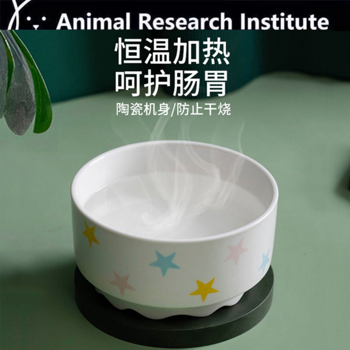 猫咪冬天恒温加热碗饮水机陶瓷猫碗喝水狗狗温水器粮碗宠物水碗,宠物/宠物食品及用品,猫狗碗/慢食碗,淘宝优惠券,粉丝福利购,淘宝优惠卷