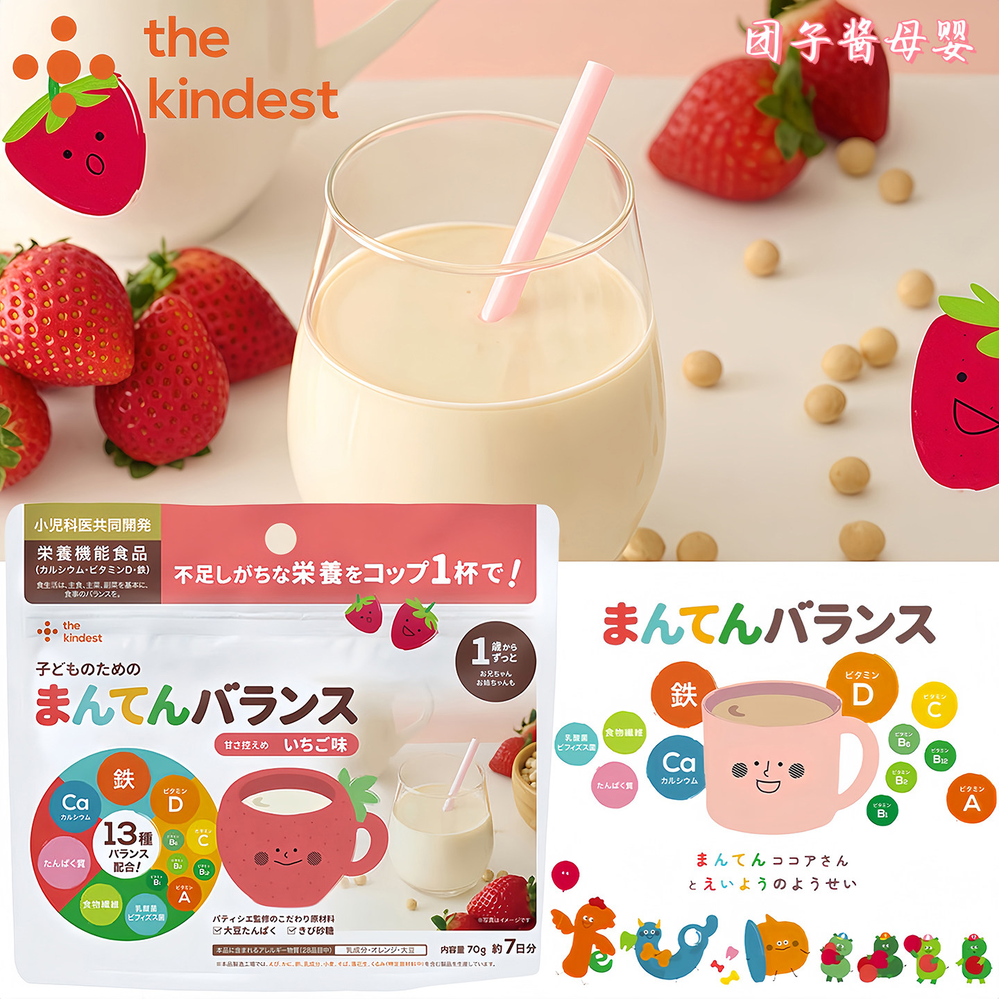 日本thekindest宝宝营养辅食粉