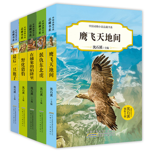 官方正版 儿童文学名著少儿读物6 故事书经典 8一12岁狼王 沈石溪动物小说全集最后一只狍子小学生阅读书籍三四年级课外书必读