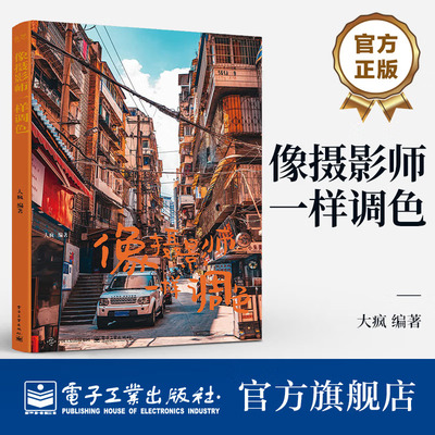 【官方正版】像摄影师一样调色 大疯 摄影后期调色指南 美学养成到后期技术养成 静物美食生活扫街不同影调的实战演练 摄影参考书