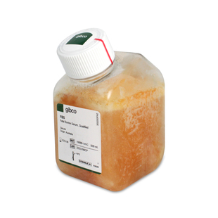 GIBCO 10099141C 澳洲胎牛血清 500ml