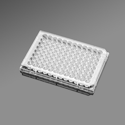 35307296孔细胞培养板