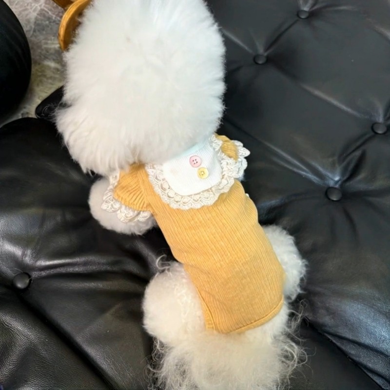 超萌宠物衣服秋冬新款弹力全包护肚衣狗狗猫咪男女通用保暖四脚衣