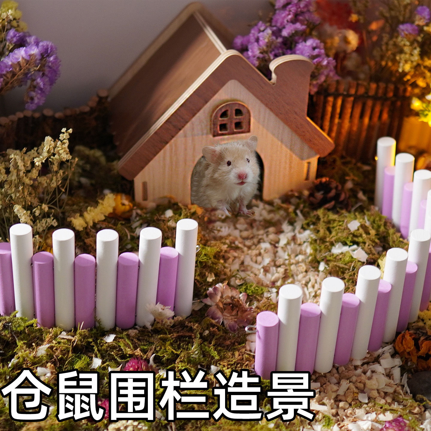 仓鼠造景用品玩具原木材质多造型