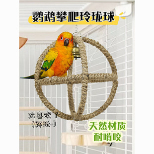 不锈钢网站台虎皮玄凤休息配件鸟笼玩具塑料藤编窝玄风悬挂