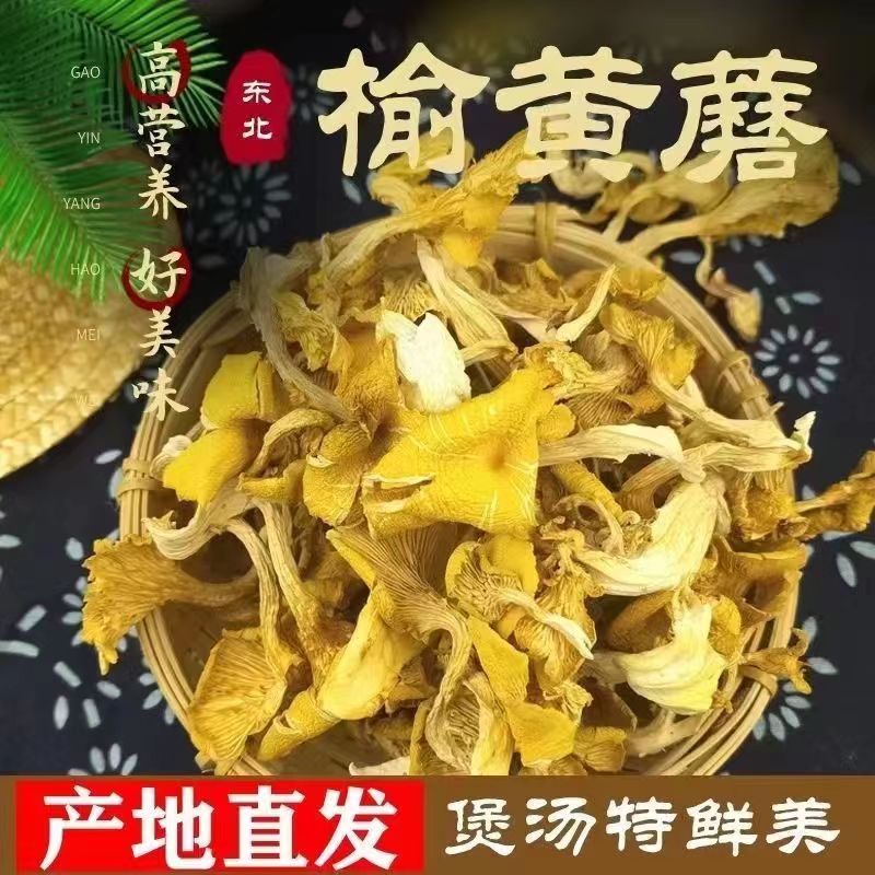 东北榆黄蘑干货新鲜鸡油菌黄金菇小黄蘑煲汤炖菜250g包邮-封面