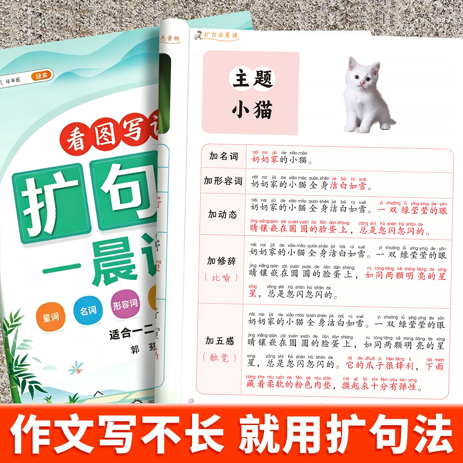 小学语文扩句法每日晨读看图写话一年级二年级三年级五感法写作文