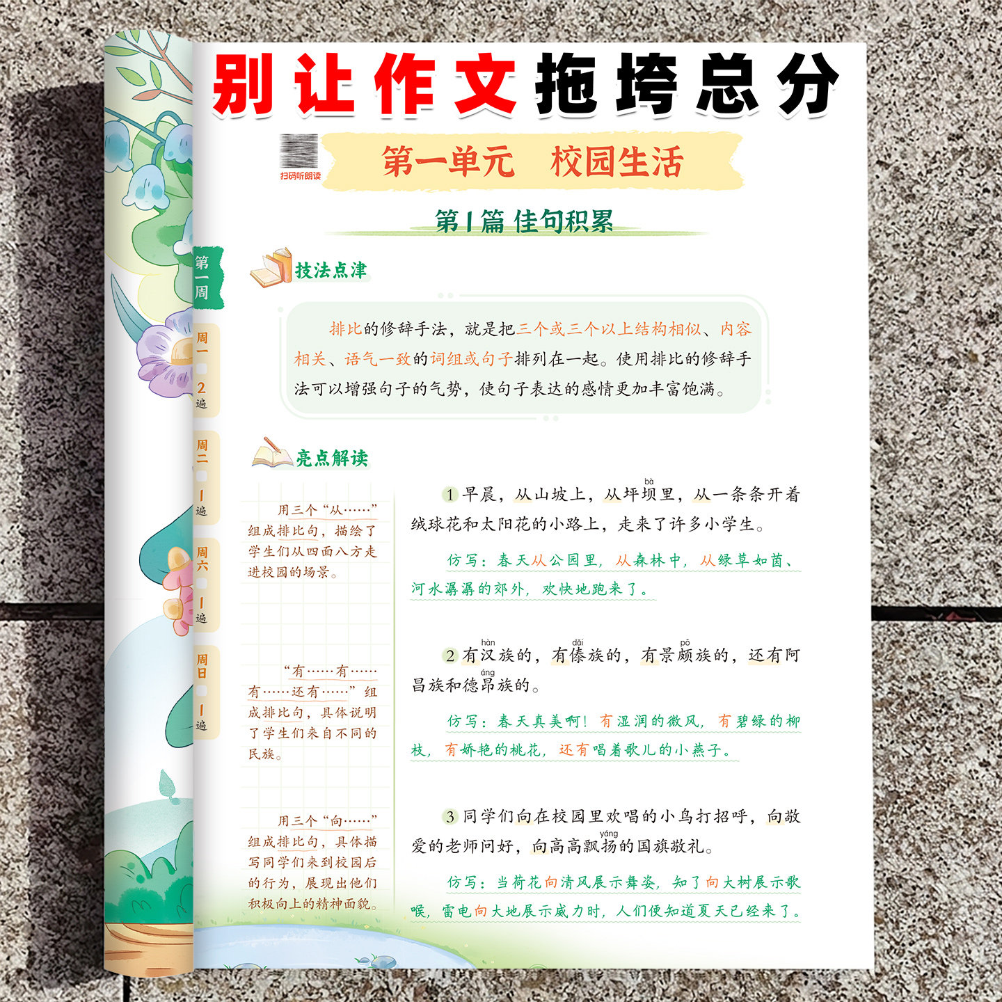 优美句子积累与仿写三年级专项训练语文同步练习好词好句好段积累
