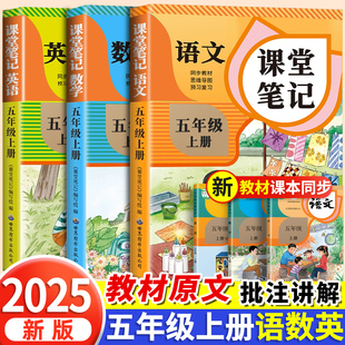 2025新版 小學數學英語全套蘇教北師大小學生五上課本同步練習冊預習教材教輔資料隨堂全解解讀書 五年級上冊課堂筆記語文人教版